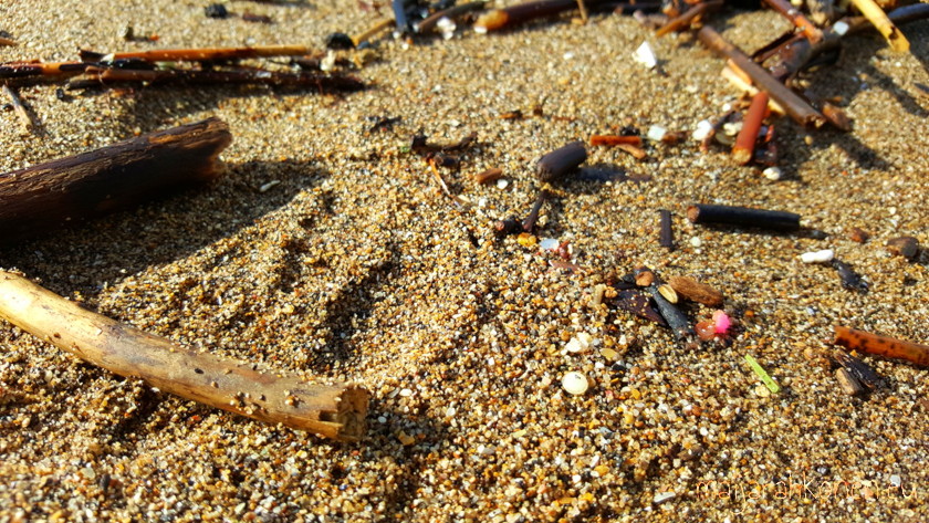 Nurdles on strandline